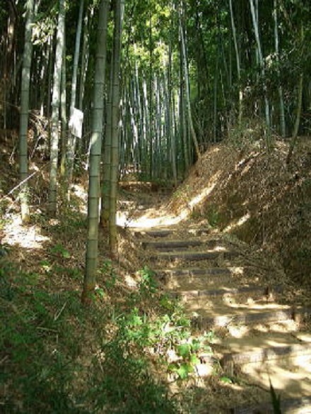 中野竹林入口