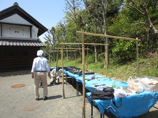 変化朝顔