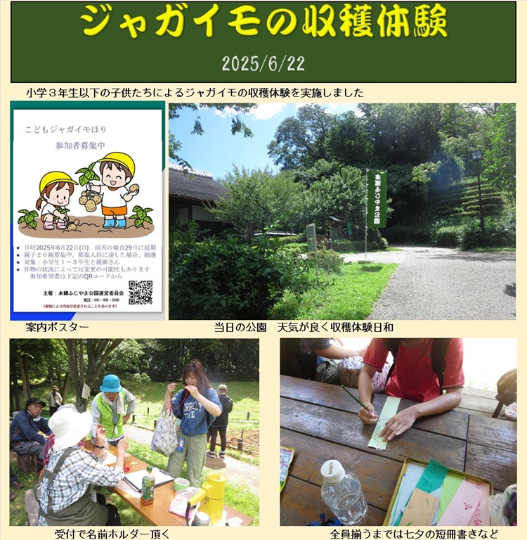 ジャガイモの収穫体験_1